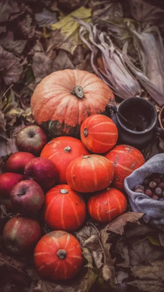 decoración calabaza Halloween